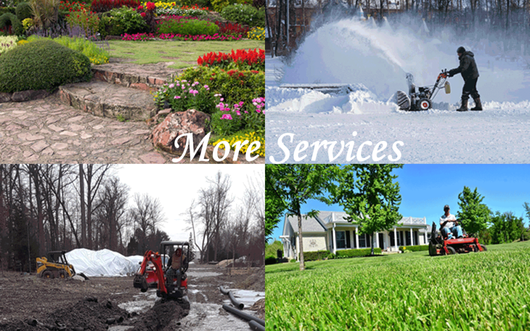 More Services