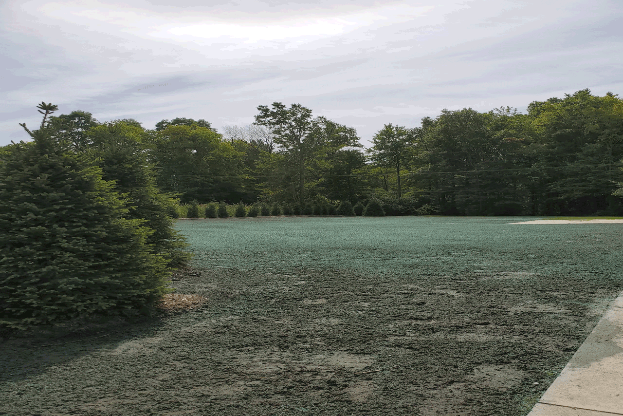 P-&-P-Lawns-Hydroseeding