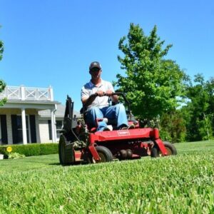 Lawn Care Allen Park MI