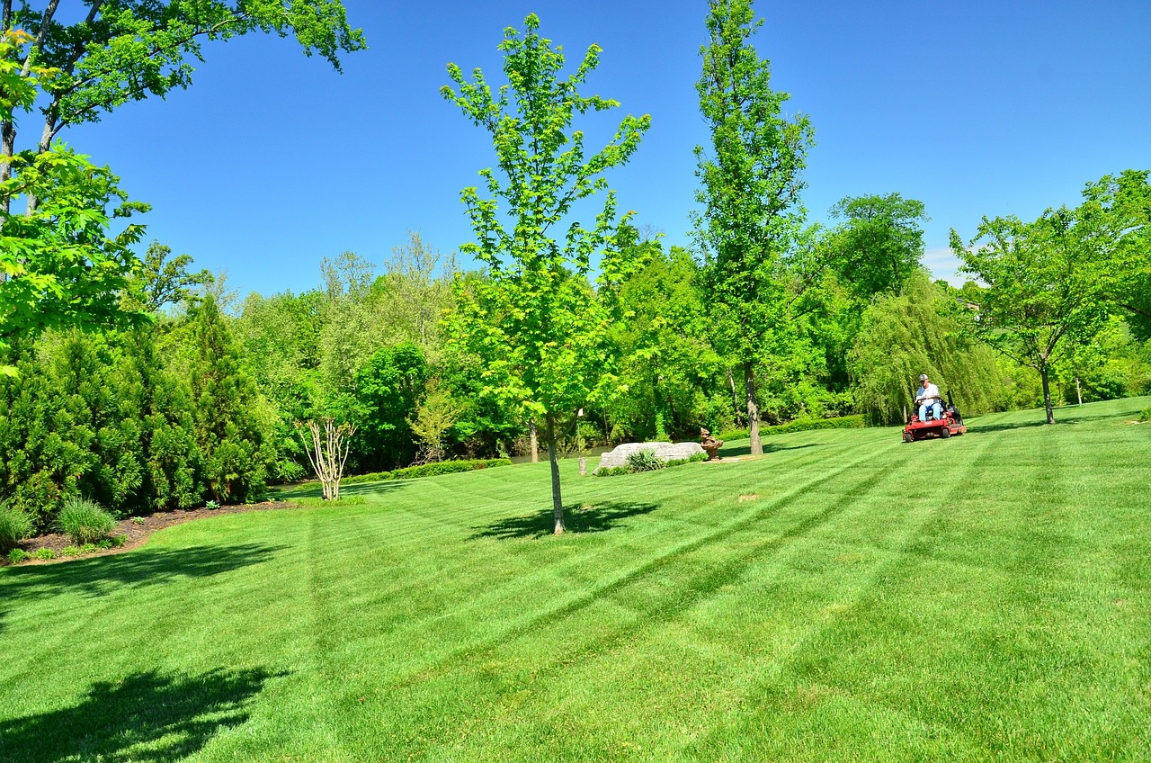 Expert Lawn service